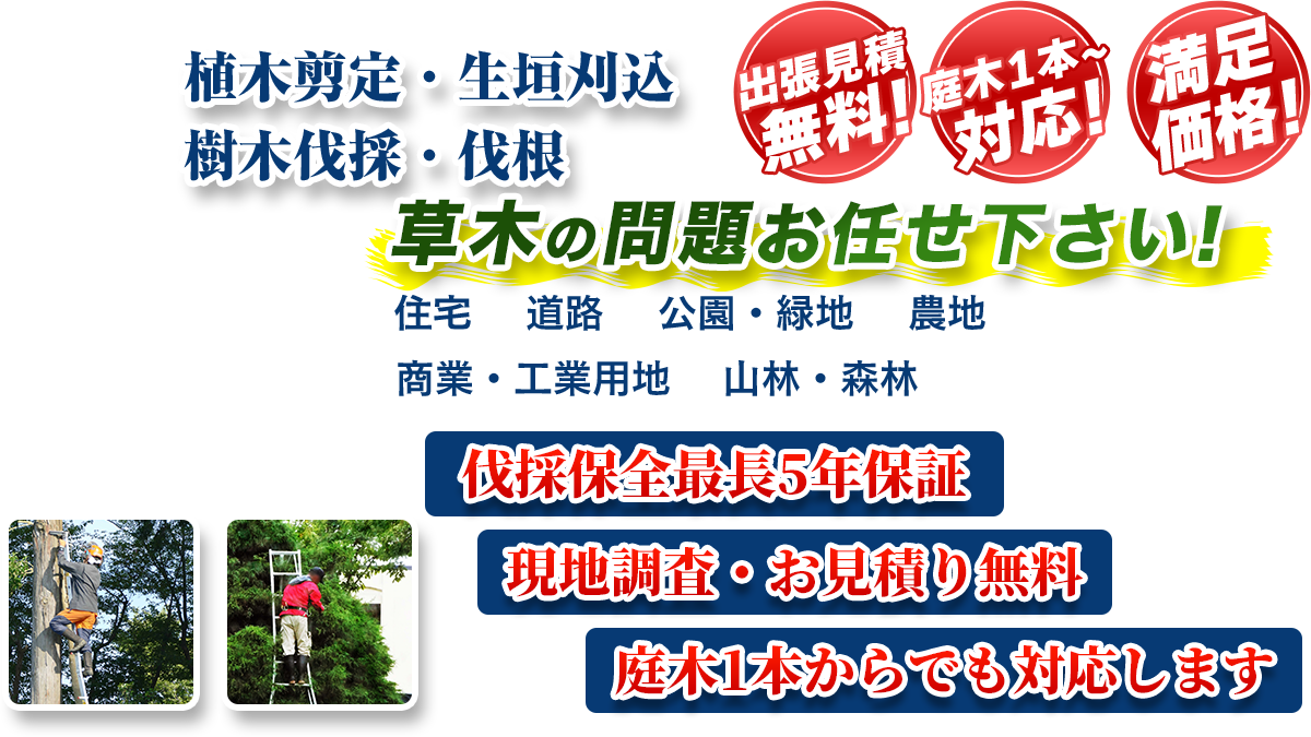 富士吉田市エリア即対応!! 出張無料! 庭木1本~対応! 満足価格! 植木剪定・生垣刈込 樹木伐採・伐根 草木の問題お任せ下さい! 住宅 道路 公園・緑地 農地 商業・工業用他 山林・森林 伐採保全最長5年保証 現地調査・お見積り無料 庭木1本からでも対応します